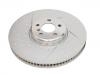 剎車盤 Brake Disc:34 10 6 895 647