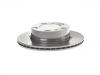 剎車盤 Brake Disc:167 421 06 01