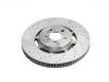 剎車盤 Brake Disc:167 423 10 00